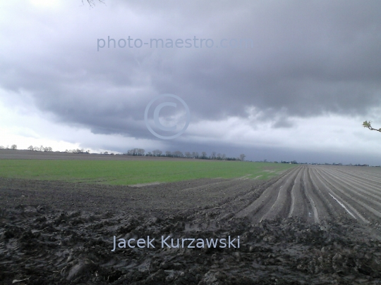 Poland,Sumin,Kuyavian-Pomeranian Voivodeship,panoramical view,nature,winter,art,decoration