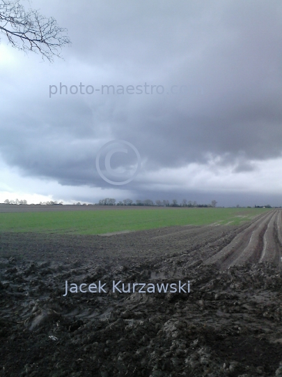 Poland,Sumin,Kuyavian-Pomeranian Voivodeship,panoramical view,nature,winter,art,decoration