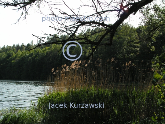 Poland,Swieta Lipka,Warmian-Masurian Voivodeship,wooden architecture,Lake,nature