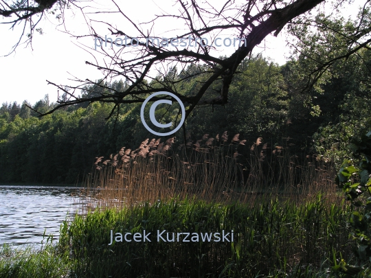 Poland,Swieta Lipka,Warmian-Masurian Voivodeship,wooden architecture,Lake,nature