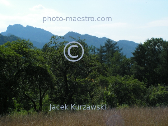 Poland,Szczawnica,Pieniny Mountains,Lesser Poland Voivodeship,nature,mountains,meadow,panoramical view