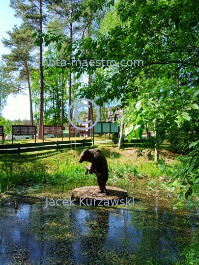 Poland,Szymbark,Pomeranian Voivodeship,landscape,panoramical view,architecture,monouments,history,Wojtek,bear