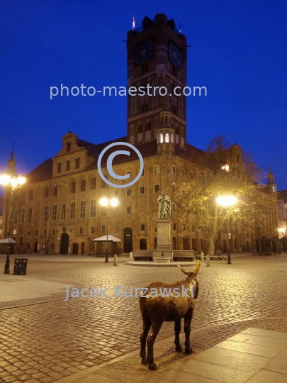 Poland,Torun,Kuyavian-Pomeranian Voivodeship,architecture,Old Town,Unesco,monuments,zpring,ambience,nocturne,night,ilumination