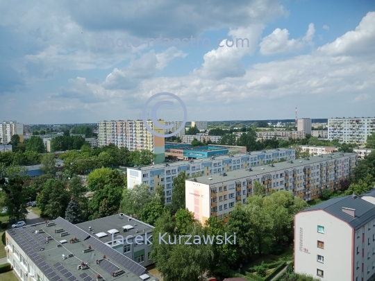 Poland,Torun,Kuyavian-Pomeranian Voivodeship,architecture,residence area,aerial view,summer,Rubinkowo district