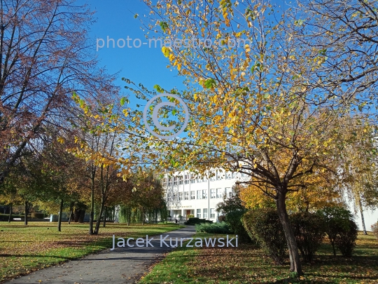 Poland,Torun,Kuyavian-Pomeranian Voivodeship,Bydgoskie district,,panoramical view,ambience,city center,autumn,UMK,University