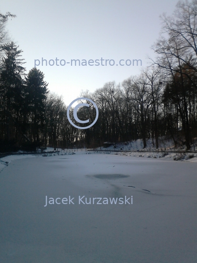 Poland,Torun,Kuyavian-Pomeranian Voivodeship,Bysgoskie district,snow,winter,park,ambience