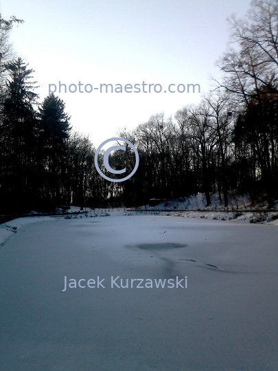 Poland,Torun,Kuyavian-Pomeranian Voivodeship,Bysgoskie district,snow,winter,park,ambience