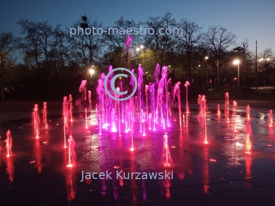 Poland,Torun,Kuyavian-Pomeranian Voivodeship,Old Town,Cosmopolis fountain,ilumination,night