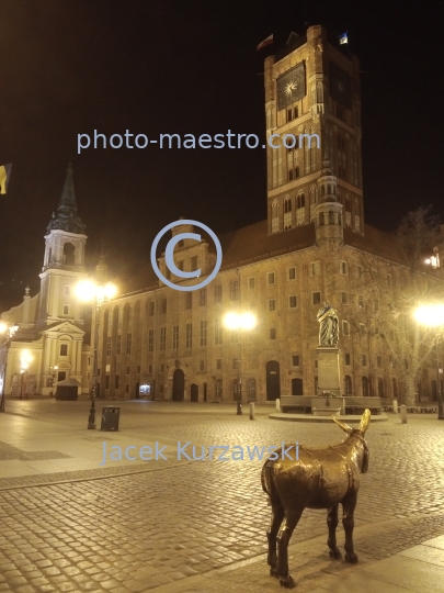 Poland,Torun,Kuyavian-Pomeranian Voivodeship,Old Town,panoramical view,monuments,architecture,City hall,Donkey.,,UNESCO,nocturne,ilumination