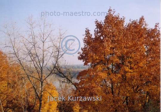 Poland,Torun,Kuyavian-Pomeranian Voivodeship,Torun,nature,Vistula river,bridge,autumn