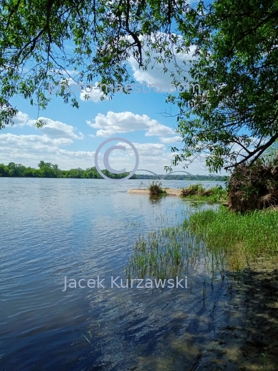 Poland,Torun,Kuyavian-Pomeranian Voivodeship,Torun,nature,Vistula river,Kaszczorek,summer