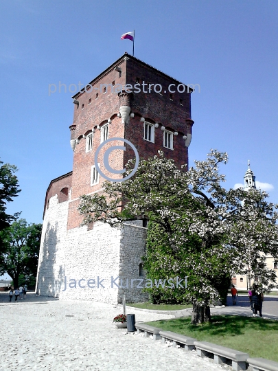 Poland,Wawel,Cracow,Lesser Poland Voivodeship,architecture,monouments,history,Old Town,ambience