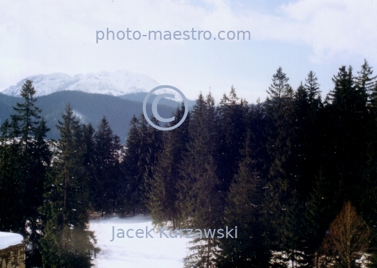 Poland,Zakopane,Lesser Poland Voivodeship,Tatra mountains,snow,winter,ambience,panoramical view