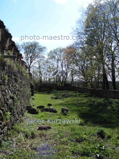 Poland,Zamek Bierzglowski, Kuyavian-Pomeranian Voivodeship,Teutonic Knights,gothic,architecture,monuments