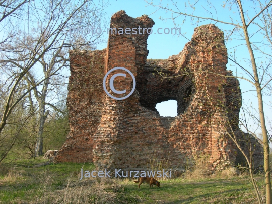 Poland,Zlotoria,Kuyavian-Pomeranian Voivodeship,castle,art,history,ruins