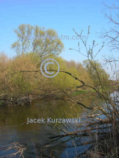 Poland,Zlotoria,Kuyavian-Pomeranian Voivodeship,castle,art,history,ruins,Drweca