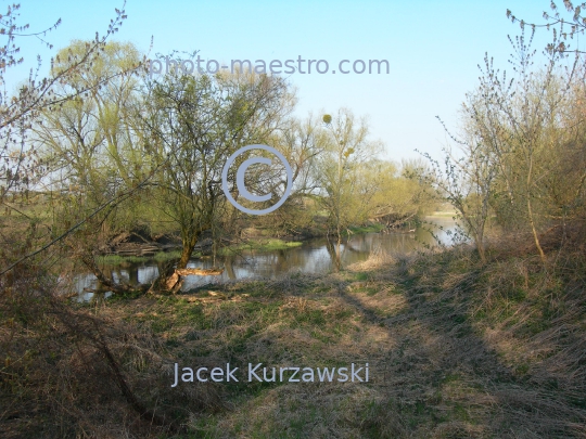 Poland,Zlotoria,Kuyavian-Pomeranian Voivodeship,castle,art,history,ruins,Drweca