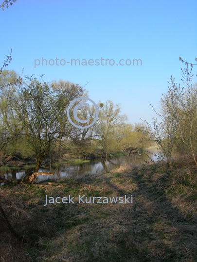 Poland,Zlotoria,Kuyavian-Pomeranian Voivodeship,castle,art,history,ruins,Drweca