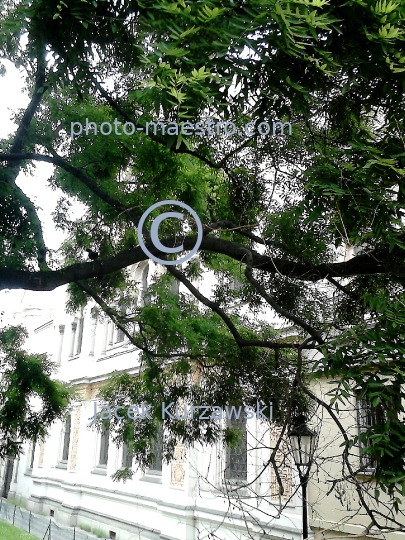 Prague,Praha,Czech Republic,architecture,history,panoramical view